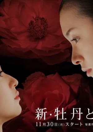 Shin Botan to Bara - Asian drama recommendation