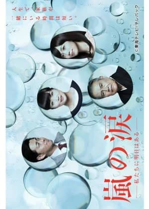 Recommendation: Arashi no Namida similar to My Mother Is a Daughter-In-Law