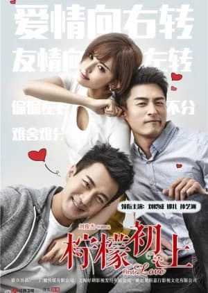 Recommendation: First Love (2016) similar to Tiger & Dragon