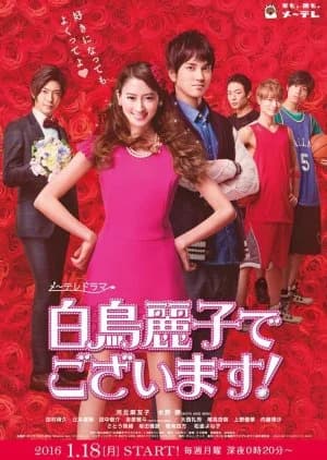 Recommendation: Shiratori Reiko de Gozaimasu! (2016) similar to Delicious Proposal
