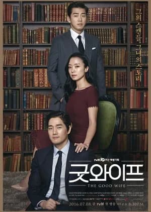 Recommendation: The Good Wife similar to Lady of Law