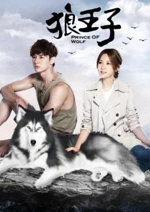 Recommendation: Prince of Wolf similar to Memory Love