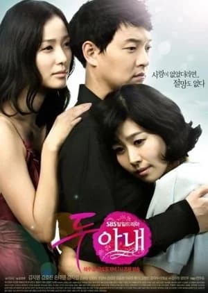 Recommendation: Two Wives (2009) similar to Sweet Enemy