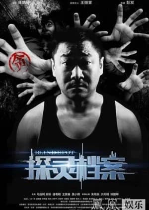 Recommendation: Blind Spot (2014) similar to The Zone