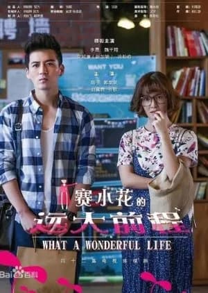 Recommendation: What a Wonderful Life similar to Don't Call Me Ma'am