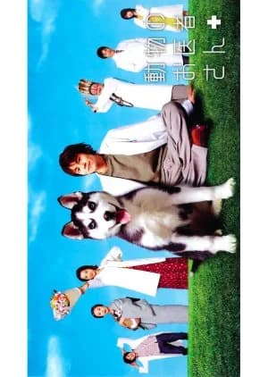 Recommendation: Dobutsu no Oisha-san similar to Three Doctors