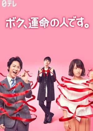 Recommendation: Boku, Unmei no Hito desu similar to My Absolute Boyfriend