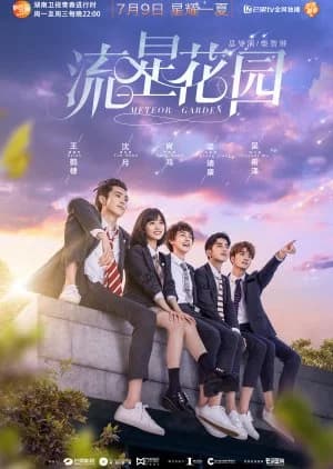 Recommendation: Meteor Garden similar to Professional Single