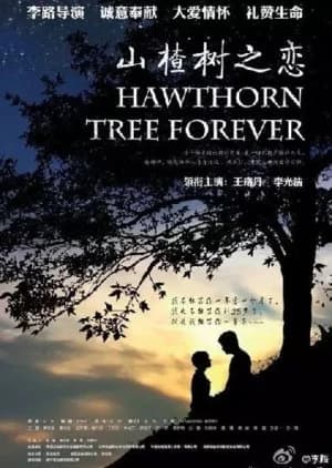 Recommendation: Hawthorn Tree Forever similar to The White Olive Tree