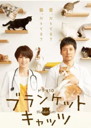 Blanket Cats - Asian drama recommendation