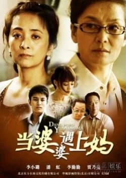 Recommendation: My Mother and My Mother-in-Law similar to Tiger & Dragon