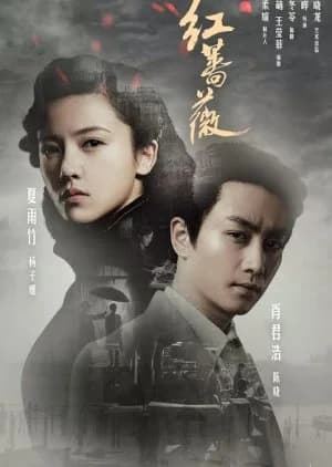 Recommendation: Red Rose similar to Harbin Enveloped in Darkness