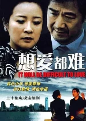 Recommendation: It Will Be Difficult to Love similar to Modern Matchmaker