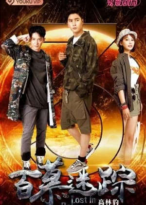 Recommendation: Lost in Baimu similar to Love on the Turquoise Land