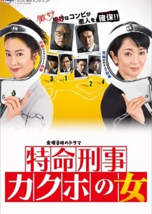 Recommendation: Tokumei Keiji Kakuho no Onna similar to Lies Never Lie
