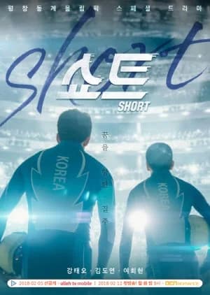 Recommendation: Short similar to To Fly with You