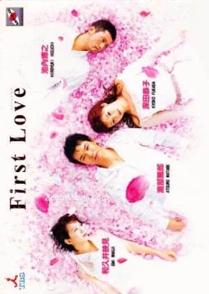 Recommendation: First Love (2002) similar to Hello Beautiful Life