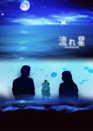 Recommendation: Nagareboshi similar to Nigeru wa Haji da ga Yaku ni Tatsu