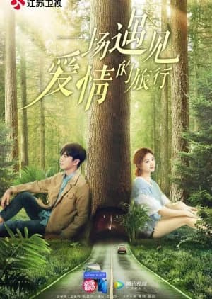A Journey to Meet Love - Asian drama recommendation