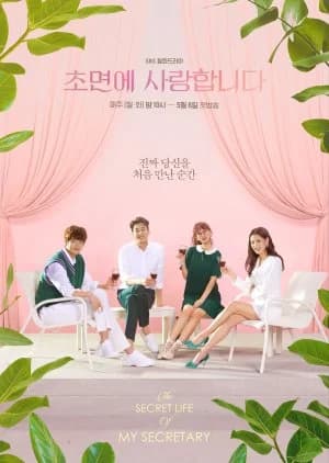 Recommendation: The Secret Life of My Secretary similar to Special Labor Inspector Jo