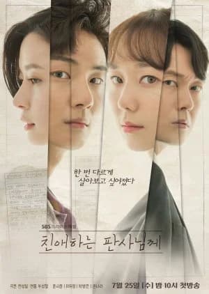 Recommendation: Your Honor similar to Prosecutor Princess