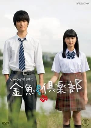 Recommendation: Kingyo Club similar to Cat Street