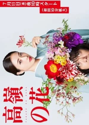 Recommendation: Takane no Hana similar to The Corner of Love
