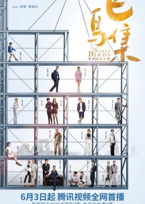 Recommendation: Stray Birds similar to Waru: Hataraku no ga Kakko Warui Nante Dare ga Itta?