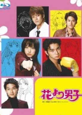 Recommendation: Hana Yori Dango similar to Ani ni Aisaresugite Komattemasu