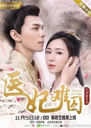 Recommendation: Princess at Large similar to Untouchable Lovers