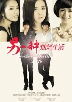 Recommendation: Another Brilliant Life similar to Modern Matchmaker