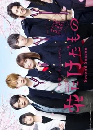 Recommendation: Hana ni Keda Mono Season 2 similar to Phantom School