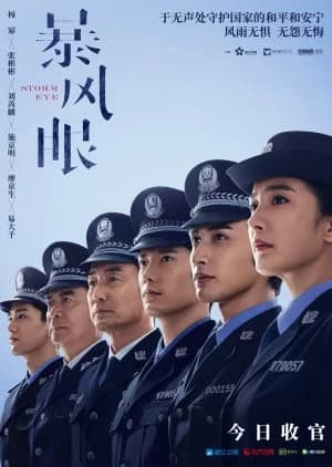 Recommendation: Storm Eye similar to Partners for Justice