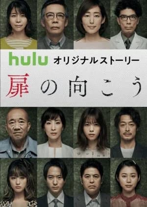 Recommendation: Tobira no Mukou similar to Vampire Prosecutor Season 2