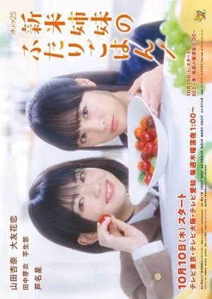 Recommendation: Shinmai Shimai no Futari Gohan similar to Miyazawa Kenji no Shokutaku
