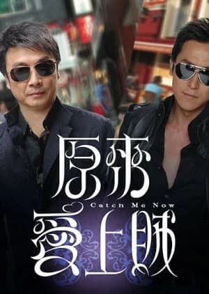 Recommendation: Catch Me Now similar to Thunder Cops