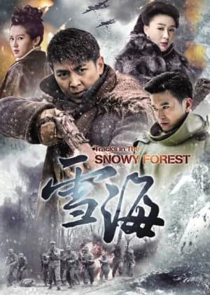 Recommendation: Tracks in the Snowy Forest (2016) similar to Cloud Street