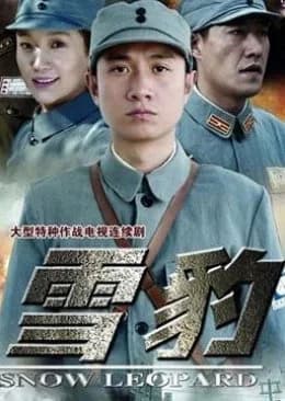 Recommendation: Snow Leopard (2010) similar to Fire Fighter