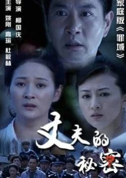 Recommendation: Husband's Secret (2012) similar to Modern Matchmaker