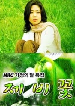 Violet (2003) - Asian drama recommendation