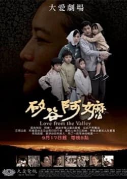 Recommendation: Grandmother From Silicon Valley similar to Fire Fighter