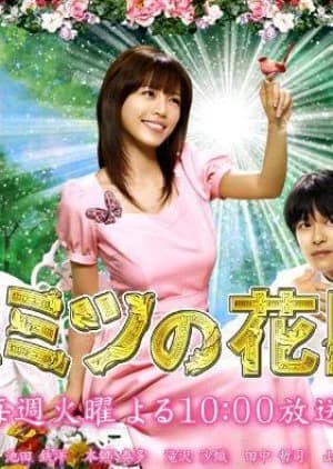 Recommendation: Himitsu no Hanazono similar to Mr. Fighting