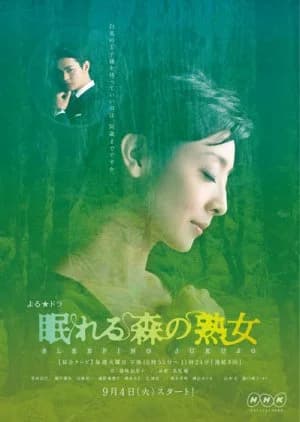 Recommendation: Nemureru Mori no Jukujo similar to Small Town Stories