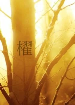 Recommendation: Oar (2000) similar to Perfect Report