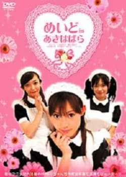 Recommendation: Maid in Akihabara similar to Tiger & Dragon