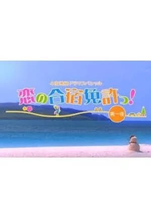 Recommendation: A Love Camp License! similar to Break (2006)