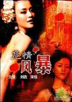 Recommendation: Dangerous Storm similar to Had I Not Seen the Sun