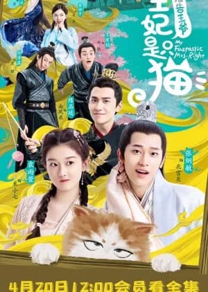 My Fantastic Mrs Right - Asian drama recommendation