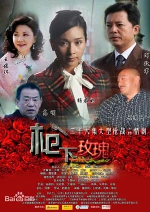 Recommendation: Mysterious Female Agent similar to Harbin Enveloped in Darkness