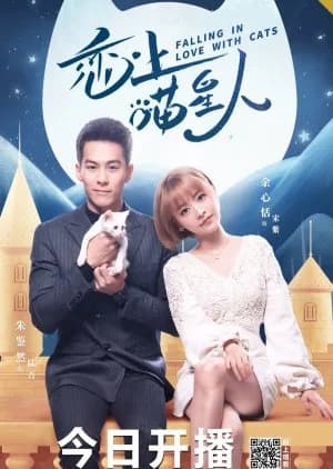 Recommendation: Falling in Love With Cats similar to Fairyland Lovers